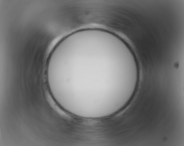 X0000116791278200912181045