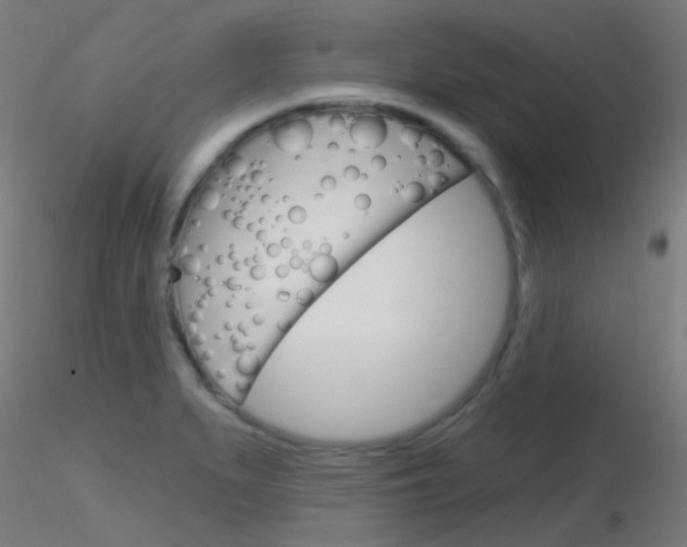 X0000116791279200912181045