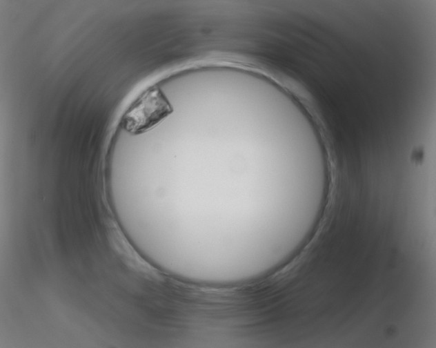X0000116791280200912181045