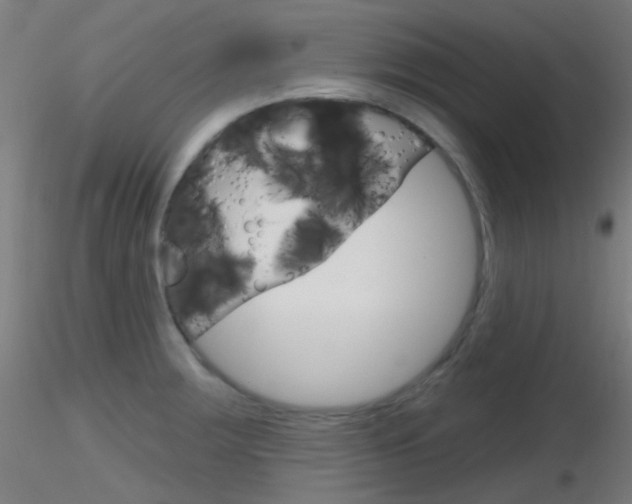 X0000116791283200912181045