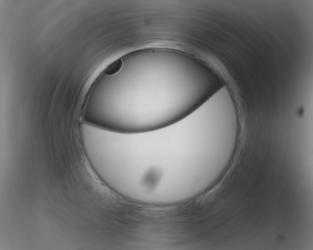X0000116791284200912181045
