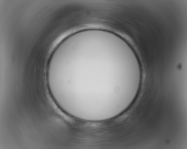 X0000116791286200912181045