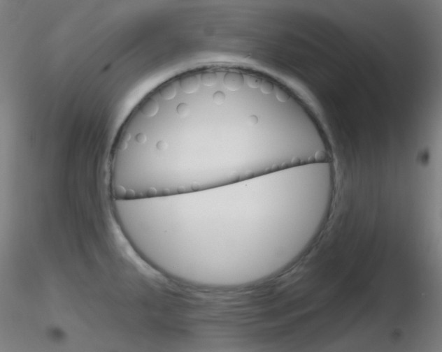X0000116791287200912181045