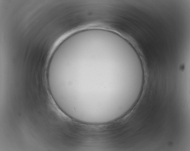 X0000116791288200912181045