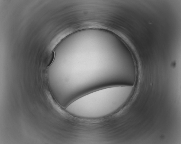 X0000116791289200912181045