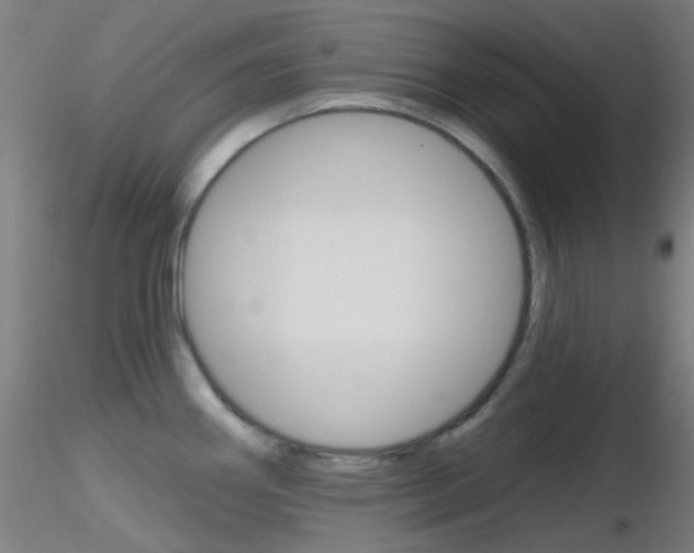 X0000116791290200912181045