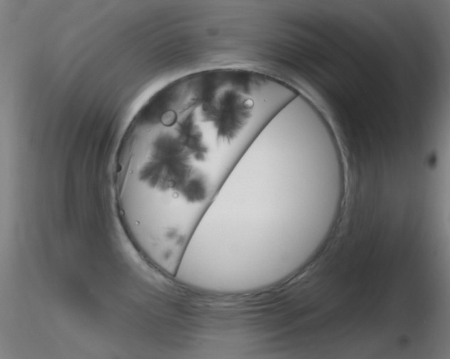 X0000116791291200912181045