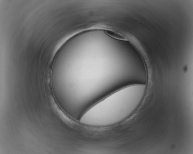 X0000116791292200912181045