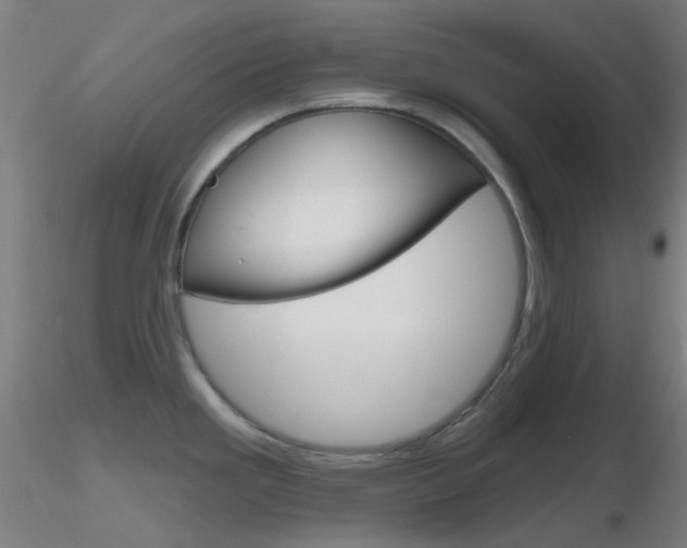 X0000116791293200912181045