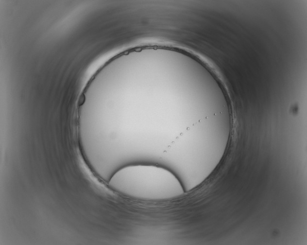 X0000116791295200912181045