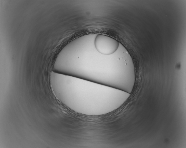 X0000116791297200912181044