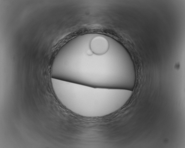 X0000116791301200912181044