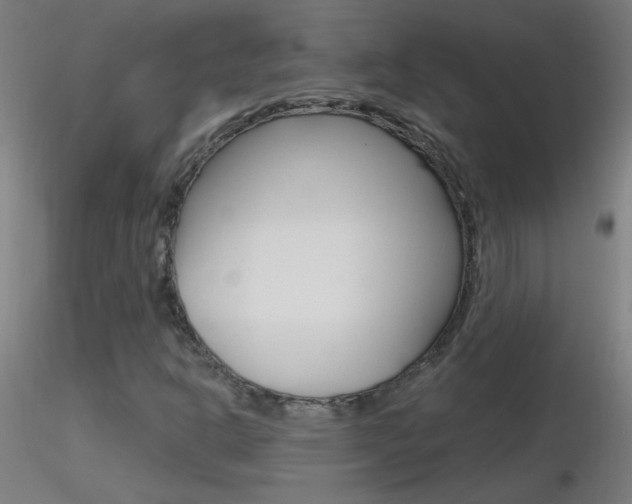 X0000116791302200912181044