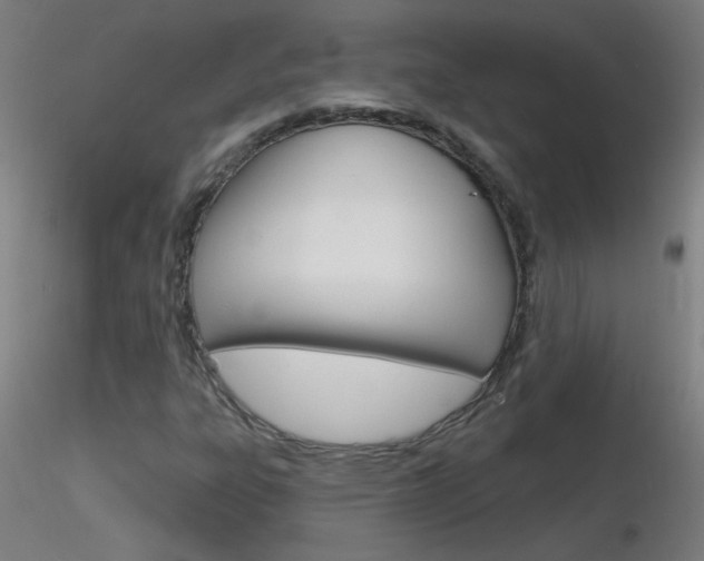 X0000116791303200912181044
