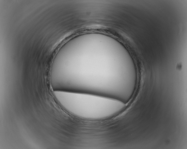 X0000116791305200912181044
