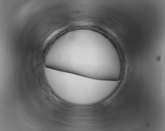 X0000116791306200912181044