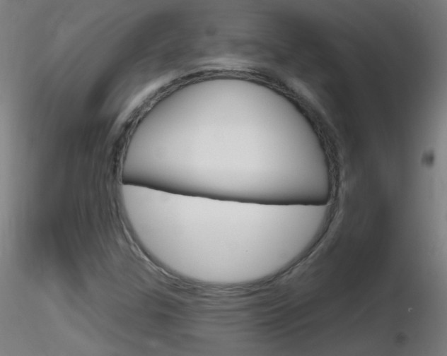 X0000116791307200912181045