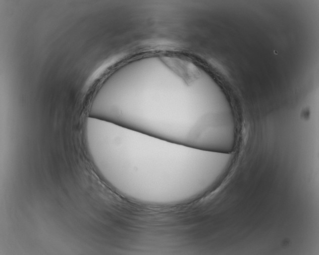 X0000116791309200912181045