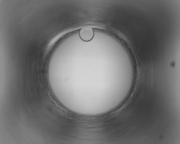 X0000116791310200912181045