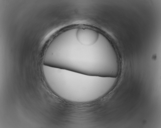 X0000116791311200912181045