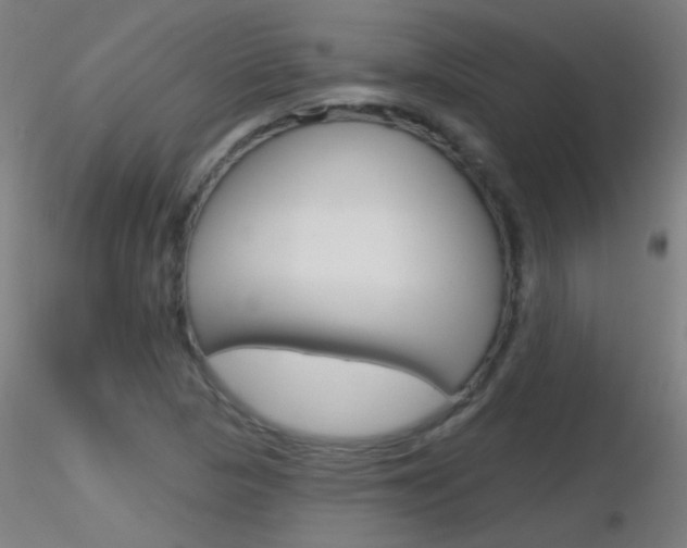 X0000116791313200912181045