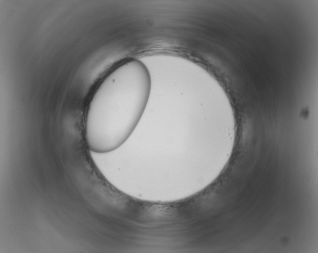 X0000116791314200912181045