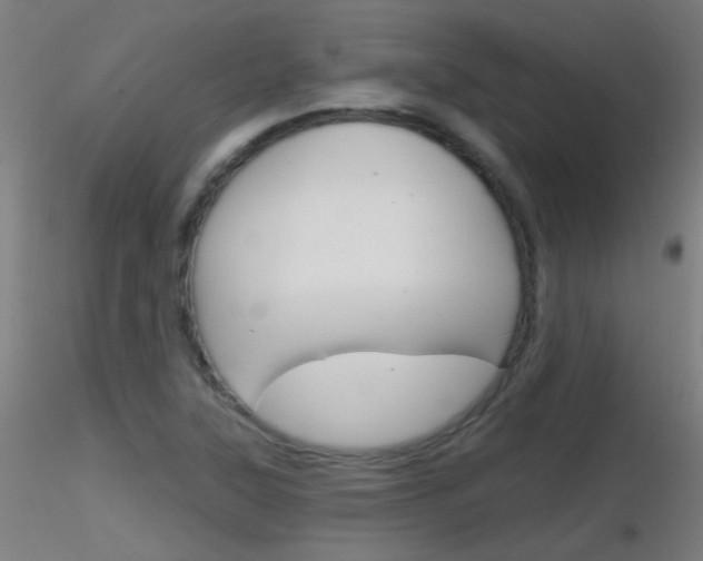 X0000116791315200912181045