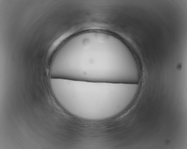 X0000116791317200912181045