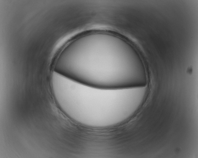 X0000116791319200912181045