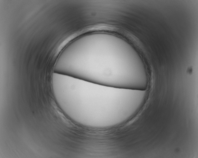 X0000116791321200912181045