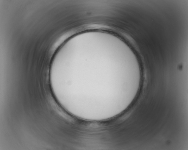X0000116791322200912181045