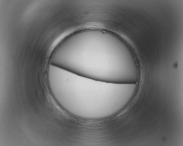 X0000116791325200912181045
