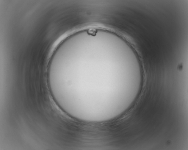 X0000116791326200912181045