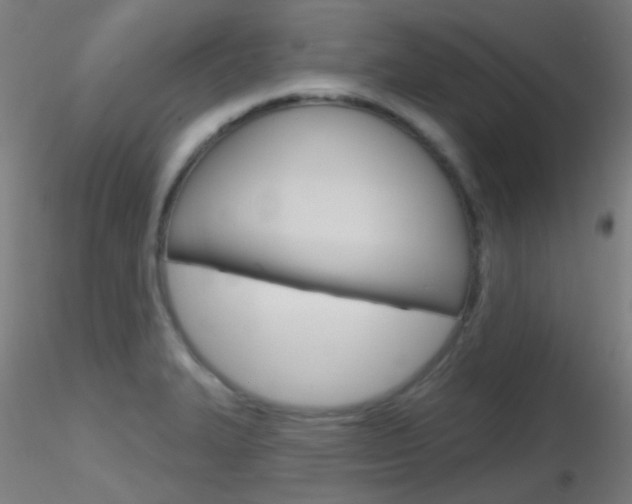 X0000116791327200912181045