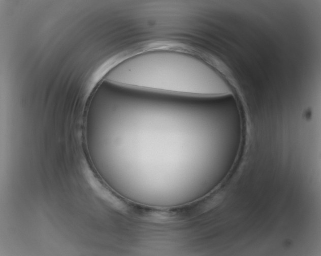 X0000116791330200912181045