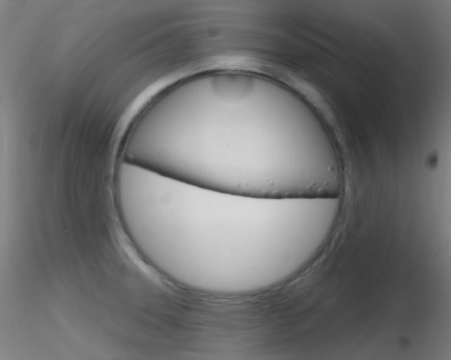 X0000116791331200912181045