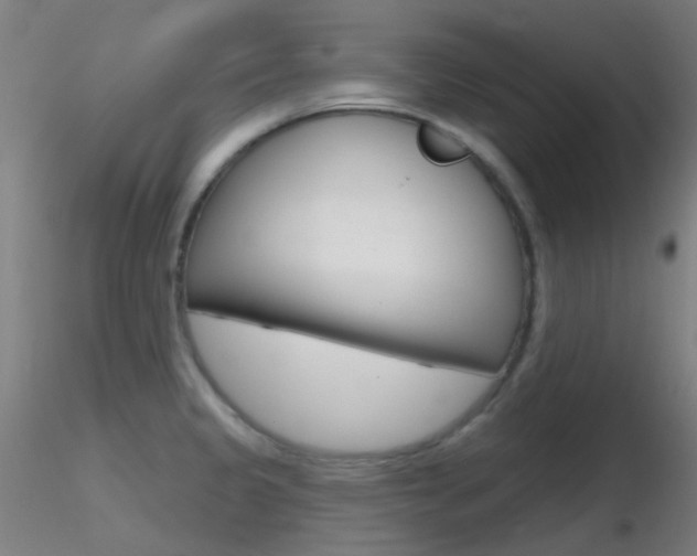 X0000116791333200912181045
