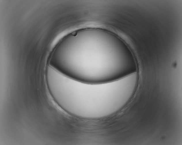 X0000116791334200912181045