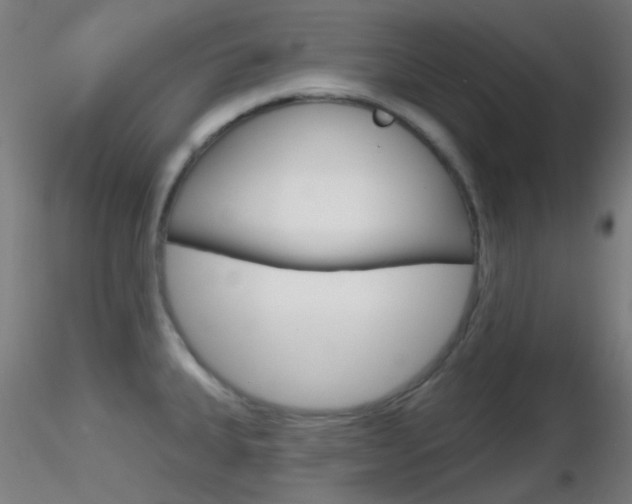 X0000116791335200912181045