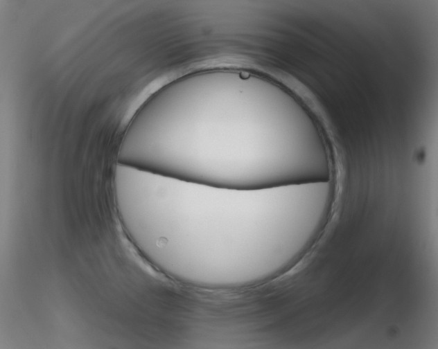 X0000116791337200912181045