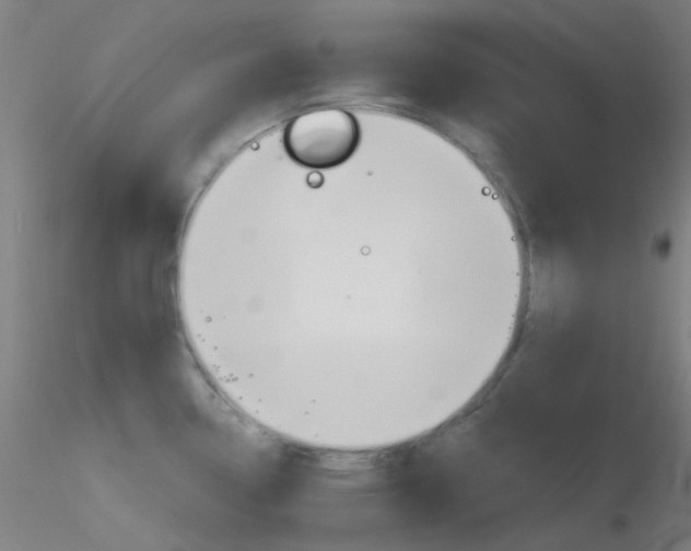 X0000116791338200912181045