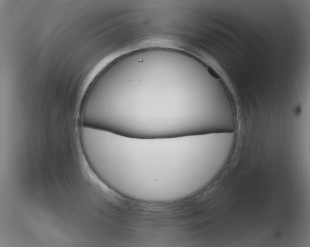 X0000116791339200912181045
