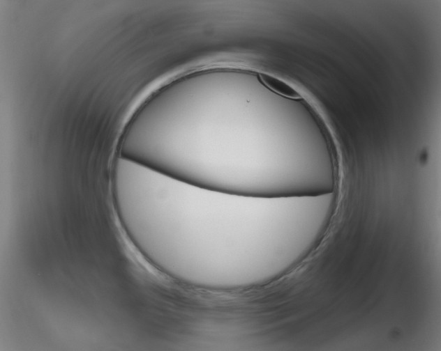 X0000116791341200912181045