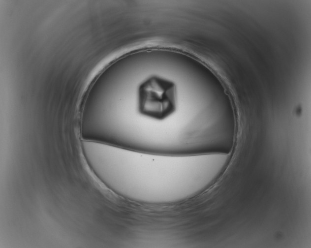 X0000116791342200912181045