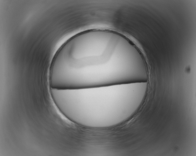 X0000116791343200912181045