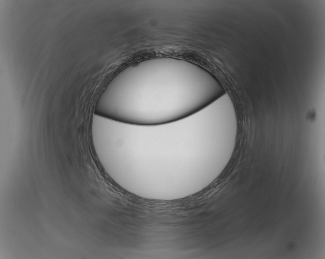 X0000116791345200912181044