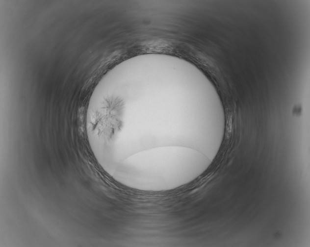 X0000116791346200912181044