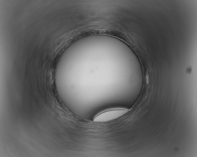 X0000116791347200912181044