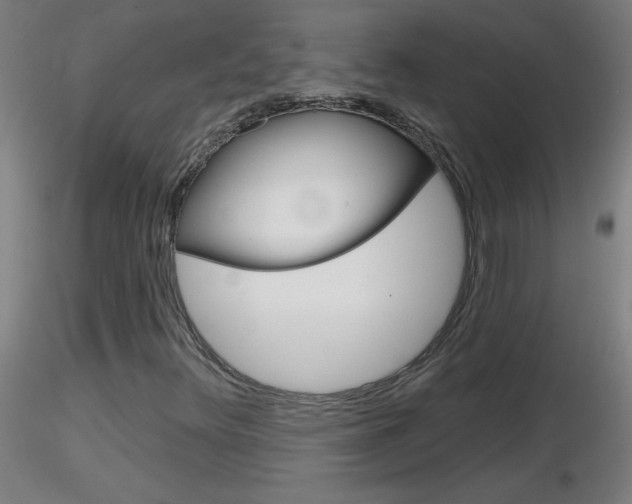 X0000116791348200912181044