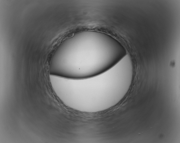 X0000116791349200912181044
